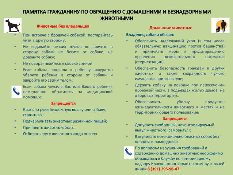 Памятка гражданину по обращению с домашними и безнадзорными животными. Памятка гражданину по обращению с домашними и безнадзорными животными.