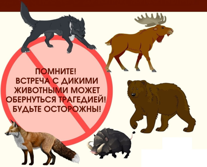 Памятки для населения. Памятки для населения.